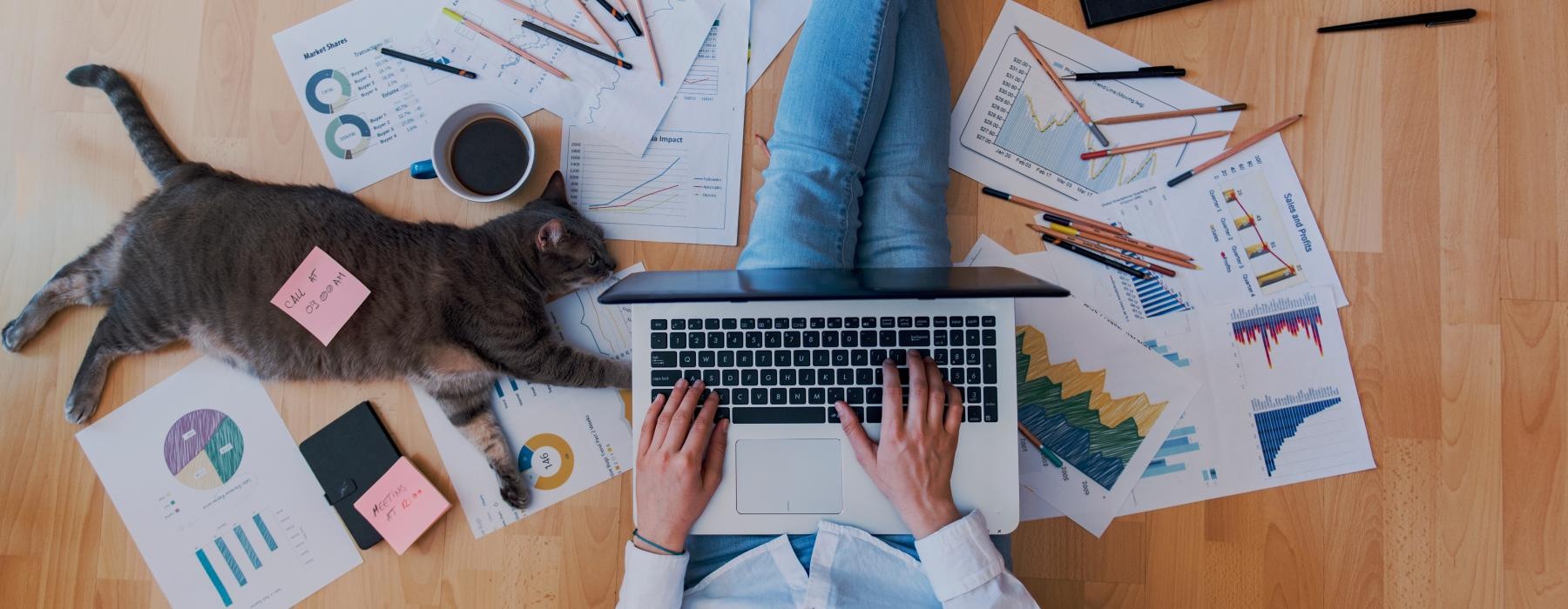 a cat sitting on a person's feet with a laptop and papers